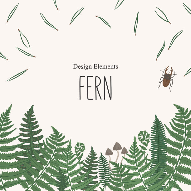 有蕨类叶子和松针的框架图片下载