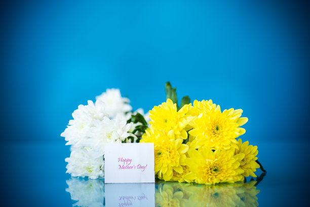 送给妈妈一束白色菊花和一张贺卡图片下载