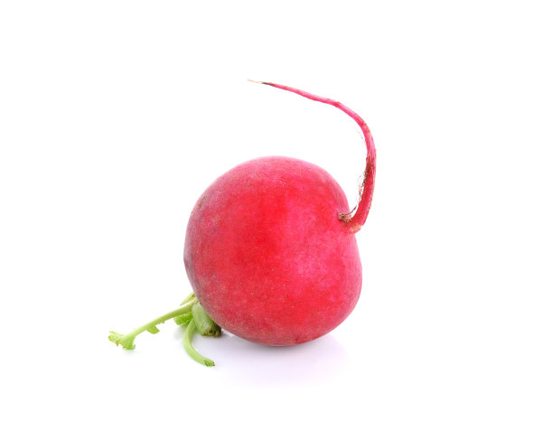 新鲜萝卜孤立在白色图片下载