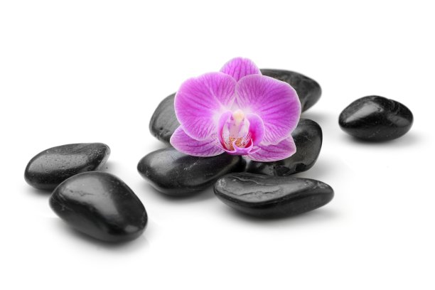 黑色的石头，白色的兰花花图片下载