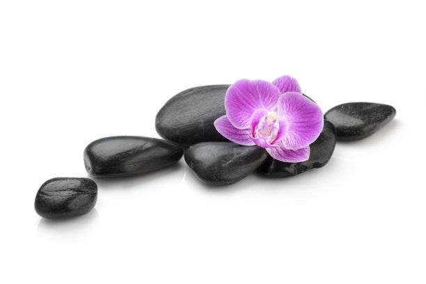 黑色的石头，白色的兰花花图片下载