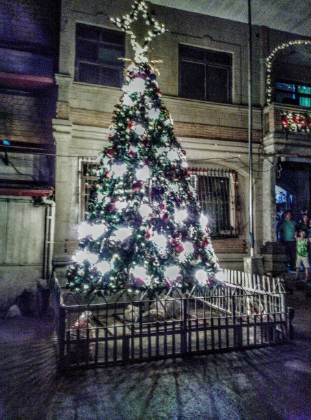 圣诞树图片下载