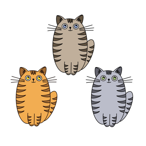 卡通坐猫集。收集各种颜色的小猫为可爱的孩子设计孤立的白色背景。图片下载