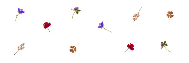 不同的花孤立在白色背景上的图案图片下载