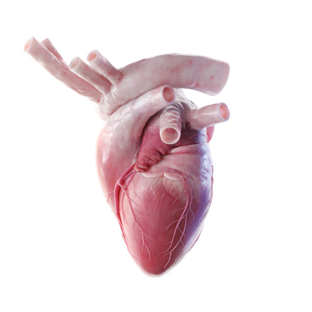 人心右观图片下载