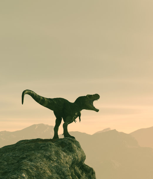山顶上的雷克斯暴龙，3d渲染图片下载