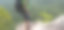 成功的女徒步旅行者站在山顶欣赏风景图片下载
