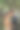 清晨，一对年轻的拉丁美洲夫妇在乌布的梯田上欣赏着美丽的景色。一起快乐，在巴厘岛度蜜月。旅行的生活方式。素材图片