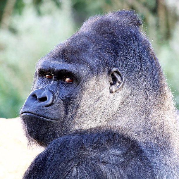 我看见你了图片下载