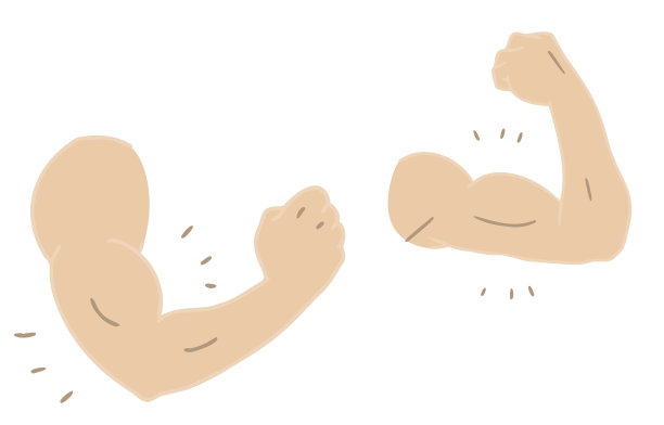 身体部位材质:男性、上臂、二头肌图片下载