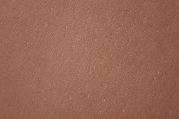 清洁皮肤人类与头发背景图片下载