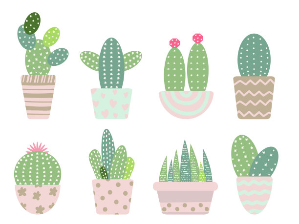 一套仙人掌，矢量插图图片下载