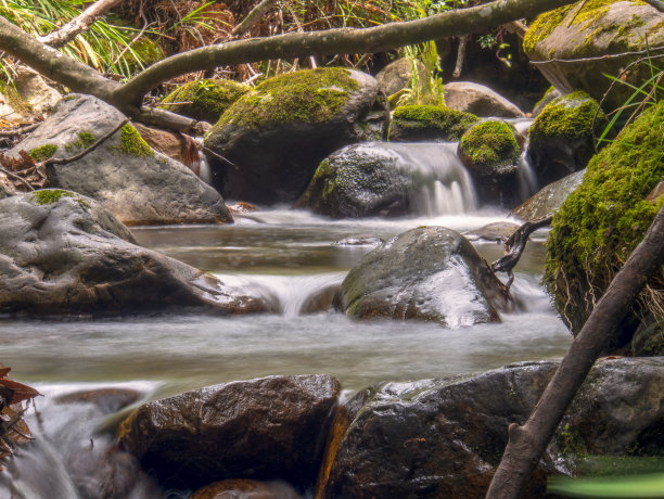 多处暴露的岩石峡谷图片下载