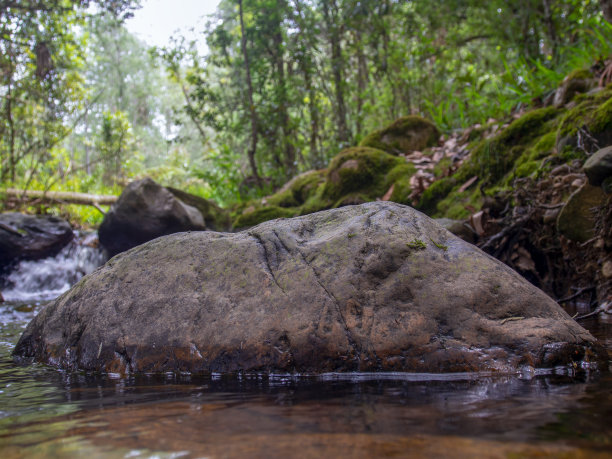 近距离拍摄的一些岩石在一个渡鸦图片下载