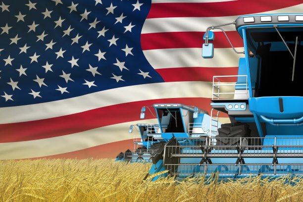 三蓝色现代联合收割机与美国国旗在谷物田-近视图，农业概念-工业3D插图图片下载