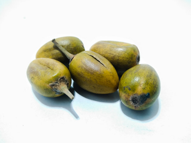 一张李子的图片图片下载