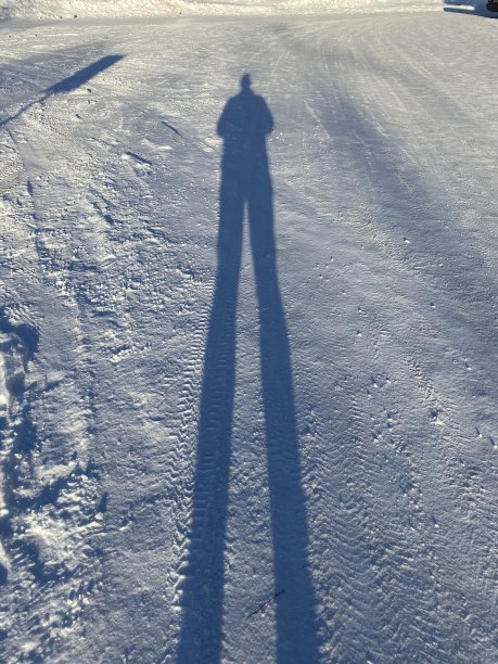 雪中的影子图片下载
