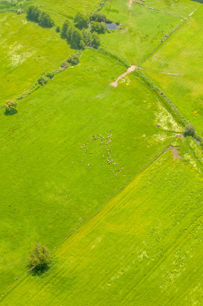 科西嘉岛的美丽小岛图片下载