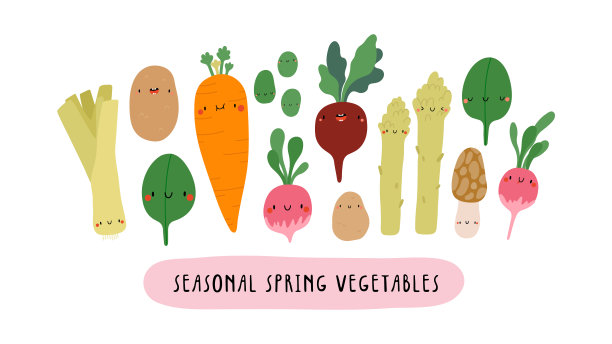 矢量插图与季节性春天蔬菜在白色的背景。图片下载