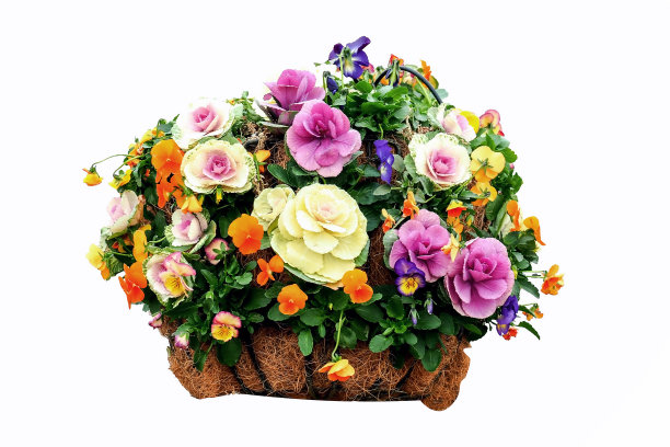 日本花盆孤立包括修剪路径在白色的背景图片下载