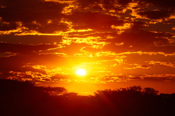 火焰日落云景天空在埃托沙国家公园纳米比亚非洲图片下载