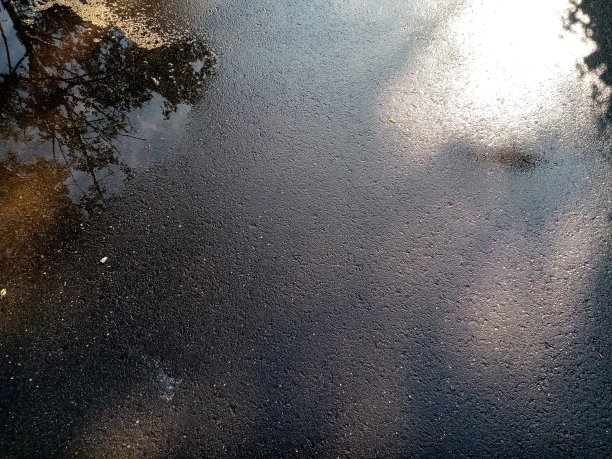 雨后美丽的湿沥青。背景。树木倒映在水坑里。图片下载