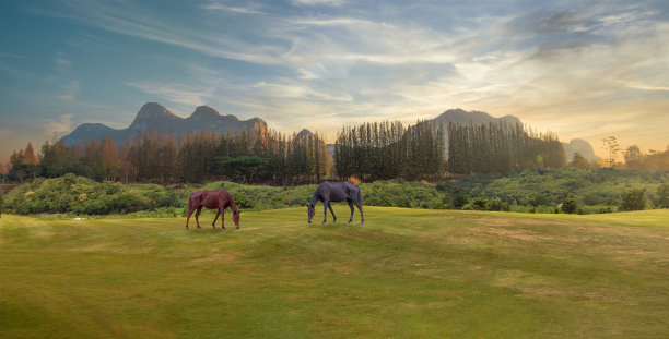 马在吃草，背景是群山。马在前景的背光剪影。图片下载