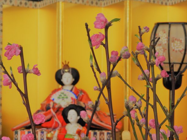 娃娃的节日图片下载