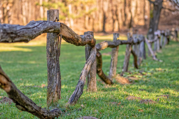 极浅的景深。天然木栅栏图片下载