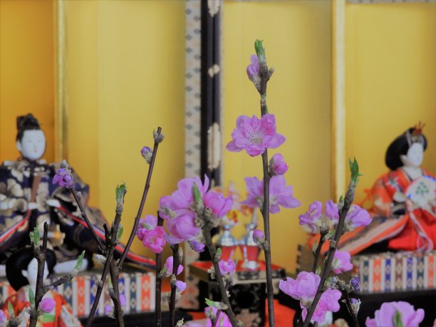 娃娃的节日图片下载