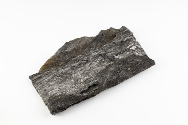 干海带图片下载