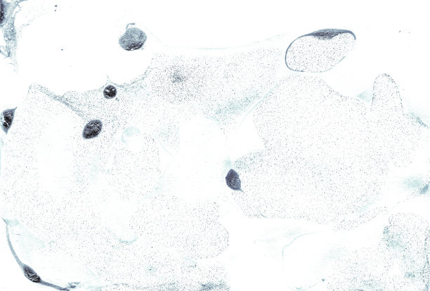 青色手画扎染，纺织飞溅。水墨创意中国滴，流体颜料，海洋蓝色水彩。海军蓝纹理染色画笔图片下载