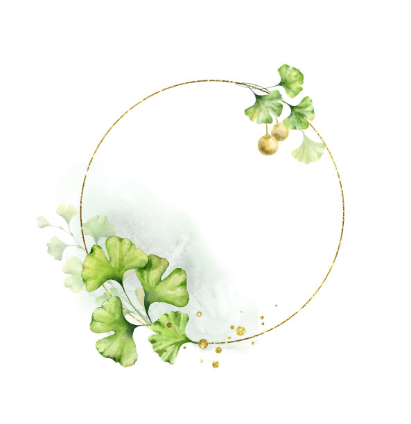 银杏叶框架。素材图片