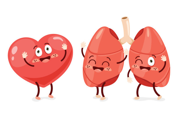 人体器官的卡通概念图片下载