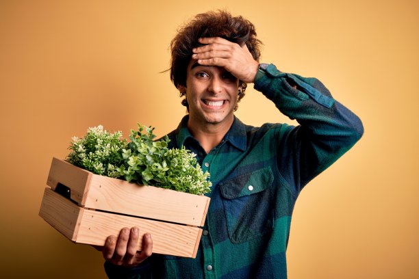 年轻英俊的男子捧着装有花园植物的盒子，盖在孤立的黄色背景上，用手压着头，震惊的羞愧和惊讶的脸，愤怒和沮丧。为错误而恐惧和不安。图片下载