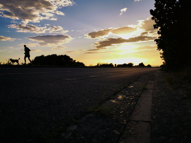 和狗在美丽的日出中奔跑图片下载