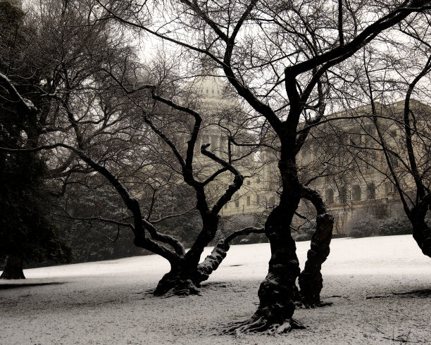 2010年暴雪前美国国会大厦图片下载