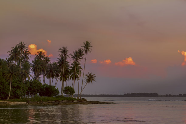 高大的棕榈树和天空和粉红色的云彩在日落的热带海滩上。图片下载