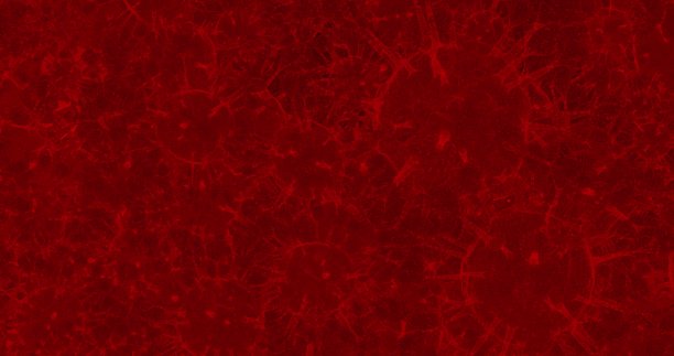 冠状病毒细胞。引起呼吸道感染的一组病毒。3D渲染3D插图图片下载