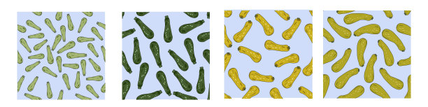 集无缝模式与西葫芦南瓜手绘矢量插图。蔬菜五颜六色的物体。美丽的蔬菜设计元素的厨房，菜单。彩色背景上有趣的插图图片下载