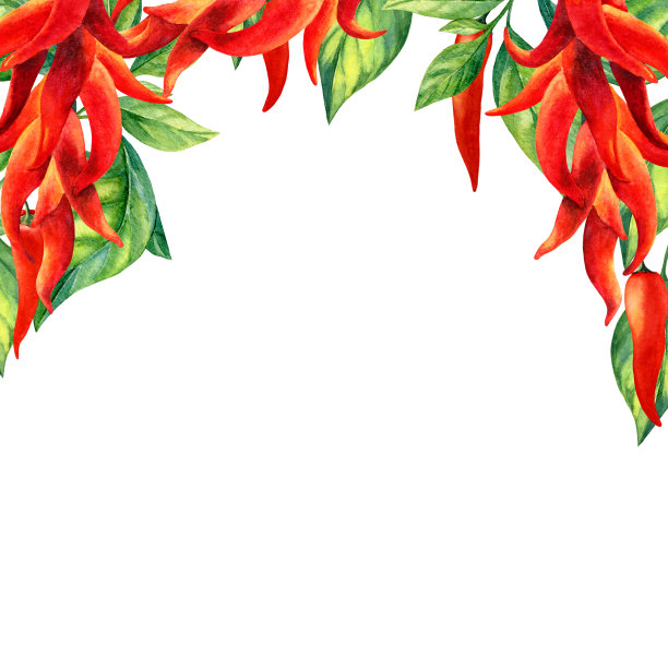 辣椒。红辣椒。水彩剪纸艺术。手画。素材图片