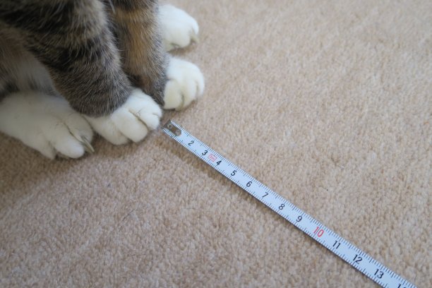 社会距离图片下载