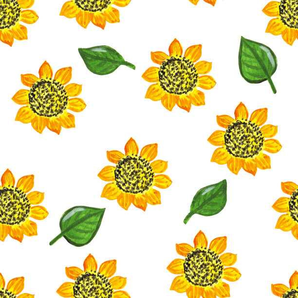 盛开的黄色向日葵和绿叶，夏天的油籽花。无缝的花图案孤立在白色背景上。图片下载