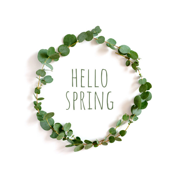 用桉树树枝做成的花环，上面写着“你好，春天”。图片下载