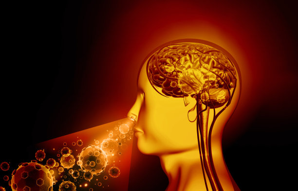 细菌或病毒图片下载