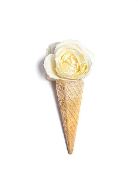 白底白玫瑰华夫蛋筒图片下载