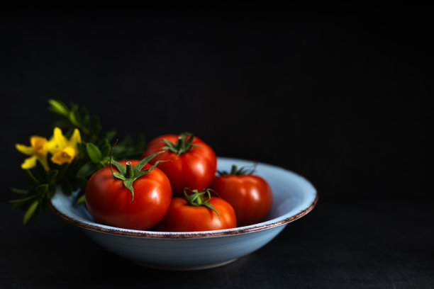 新鲜收获的西红柿在黑暗的背景图片下载