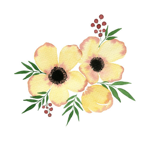 水彩黄花春花束孤立在白色上，手绘抽象银莲花花，花饰亮丽图片下载