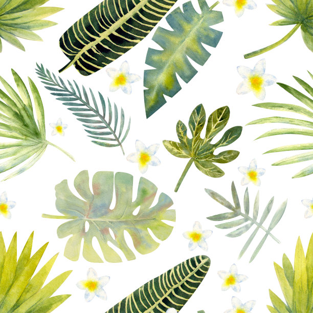 奇异的热带落叶。无缝模式上的白色孤立背景。时尚海滩艺术印花墙纸。水彩插图图片下载