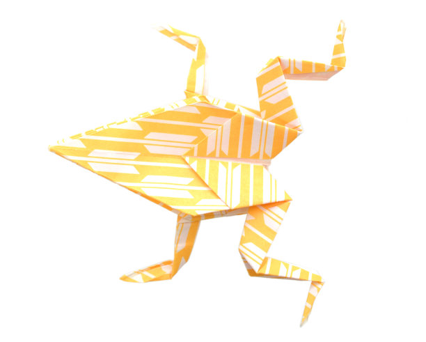 折纸蛙纸孤立白色图片下载